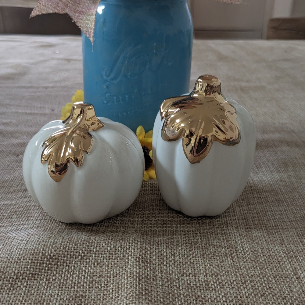 Fall White Pumpkin Decor/ Salt And Pepper
